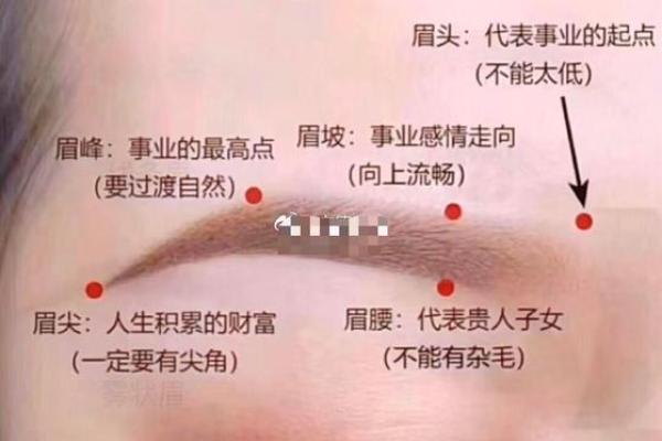 眉毛风水_有科学依据吗