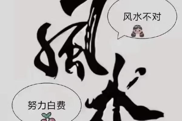 房子没人气风水好吗