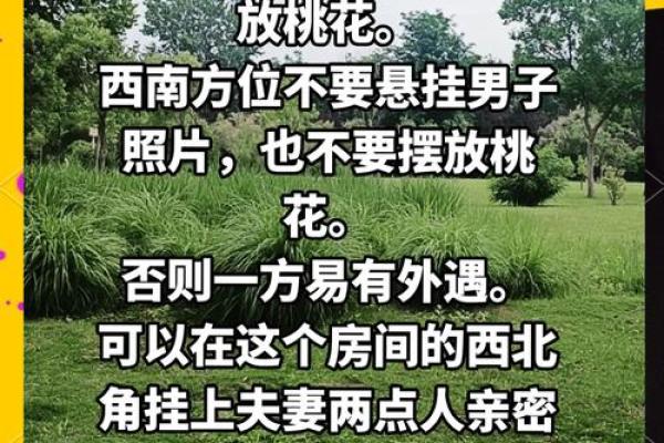 论感情风水，怎么做才能招桃花