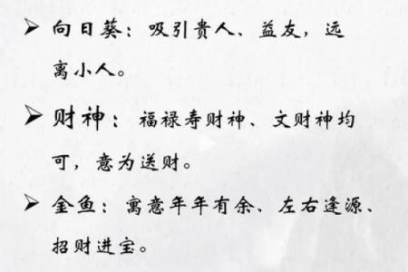 想要人身上聚财的风水观点有哪些