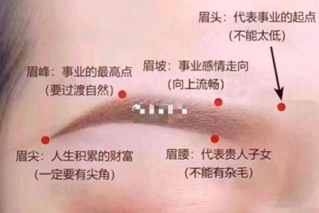 眉毛风水_有科学依据吗