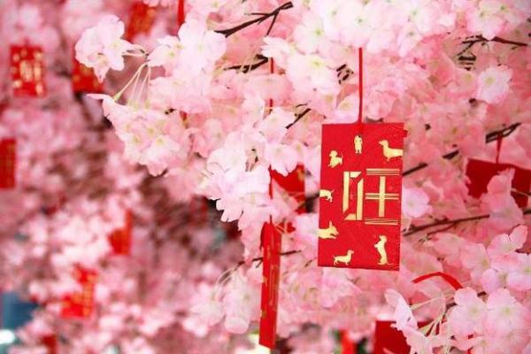 先生你家风水招桃花 先生你家风水招桃花TXT