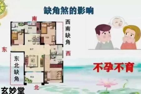 影响夫妻感情的风水，你家有吗