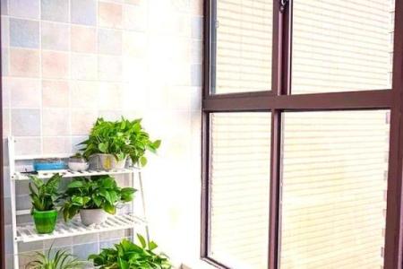 阳台东南的房子风水好不好