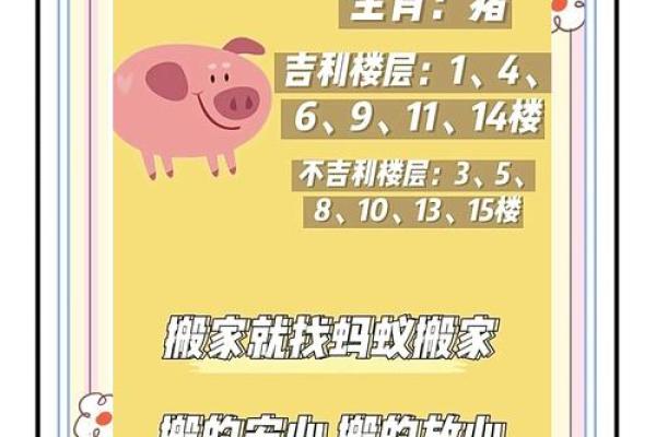 风水搬什么东西才算正式搬家包括什么物品
