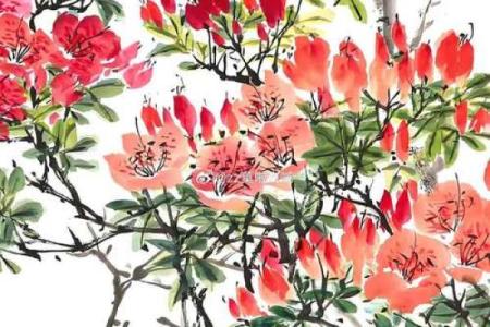 属鸡的家里养什么样子的风水鱼好？