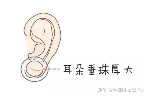 耳朵风水里代表什么