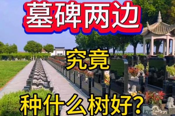 什么样的墓地风水好