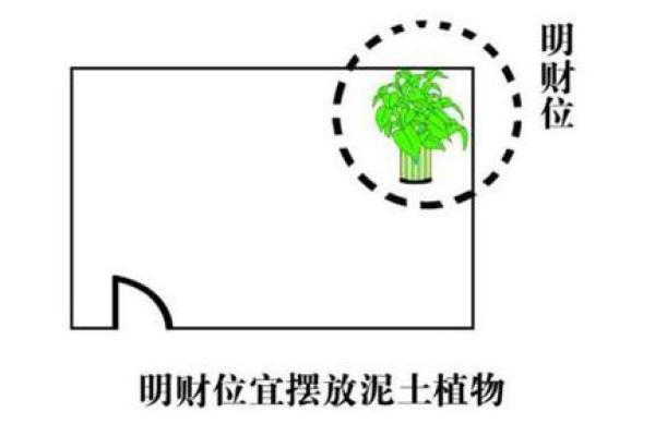 店铺风水摆设 放这几个就能够招来财气