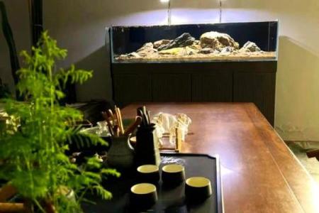 茶几鱼缸的风水