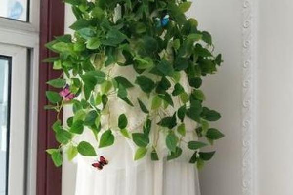 家里摆放假花会影响风水吗