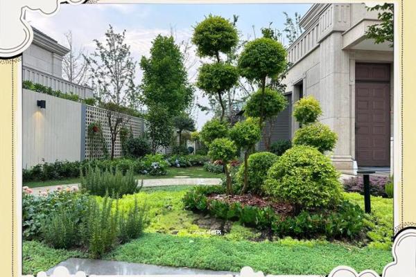 房子各个方位栽树好吗风水 房子各个方位栽树好吗风水