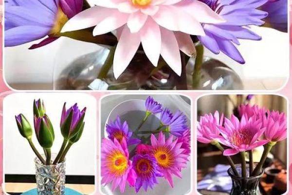 假花影响风水真的吗有哪些说法