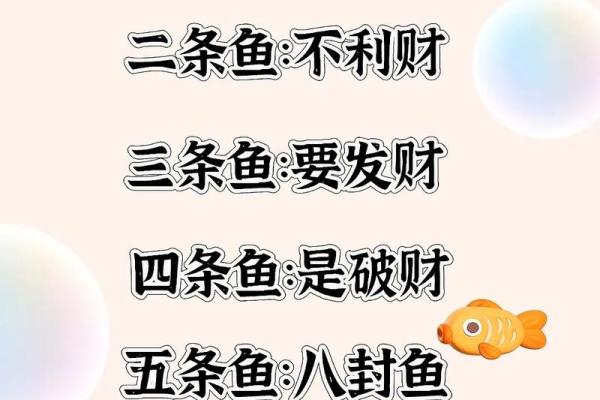 办公室养鱼风水也有讲究 不注意的话就犯了大忌