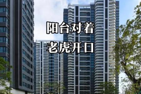 车库入口对房子的风水