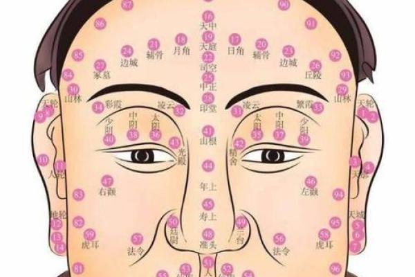 风水解读狐狸眼睛的女人面相怎么样