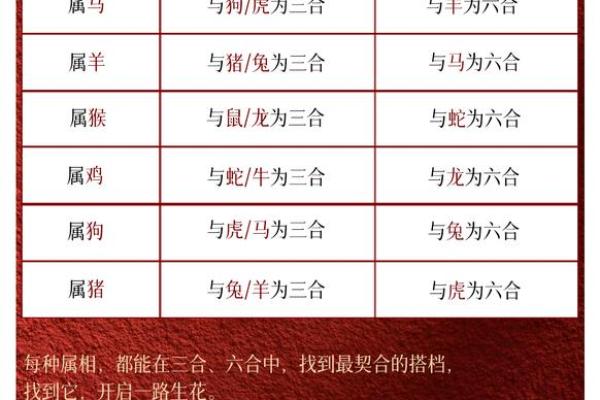 三合风水_属龙与什么生肖最合得来 三合风水_属龙与什么生肖最合得来