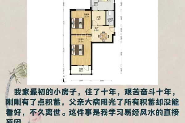 如何利用风水学为你的房子创造一个舒适的环境 如何利用风水学为你的房子创造一个舒适的环境