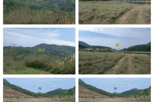 祖坟风水禁忌有哪些 祖坟风水禁忌有哪些