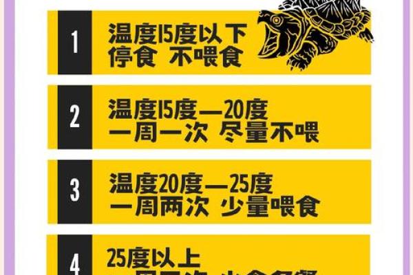 家里养乌龟需注意哪些风水问题 家里养乌龟需注意哪些风水问题