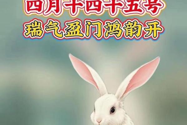 风水吉祥物_兔子吉祥物名字及寓意