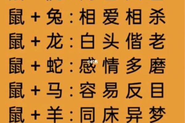 十二生肖最佳婚姻配对
