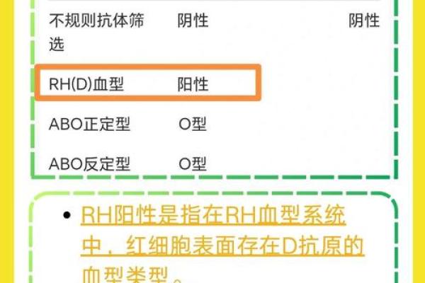血型中rh阴性是什么意思