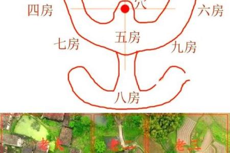 房子属于离风水