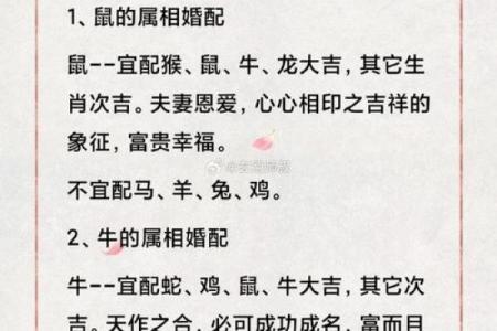 八字婚配属相查询