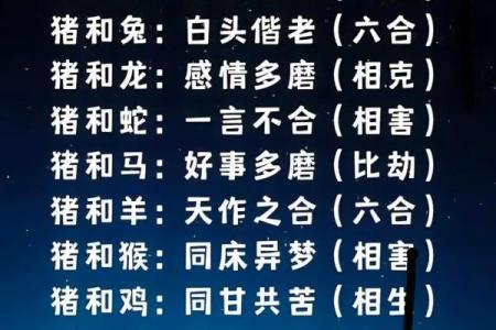 属猪的和什么属相配对好