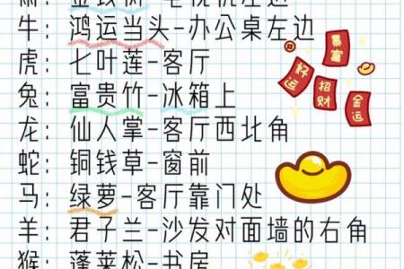 招财旺财必需知道：十二生肖财神方向