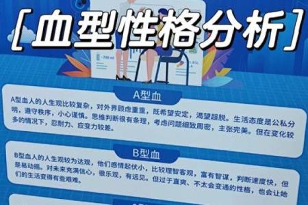 属鼠AB血型的人性格与事业姻缘