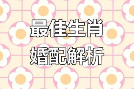 婚姻配对属龙和属猪姻缘怎么样