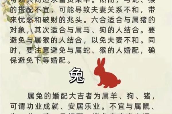 95男猪96女鼠相配吗 配对指数有多高