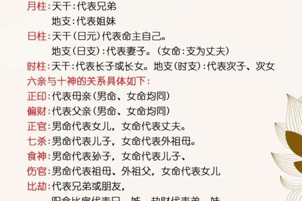 八字看女孩温顺可爱，性格如何？