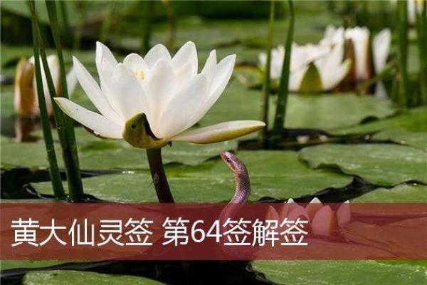 孔子灵签第70签详解