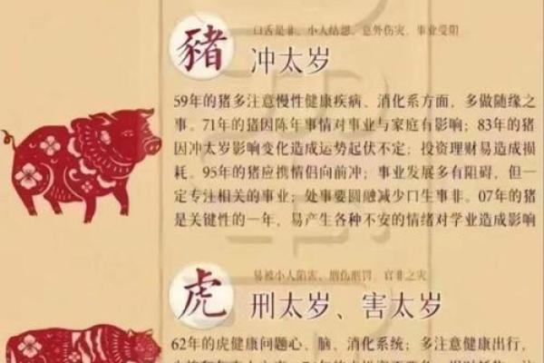 冲猪是属猪的不吉日吗 冲猪煞东的重点