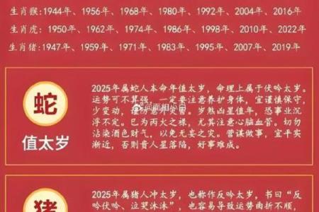 冲猪是属猪的不吉日吗 冲猪煞东的重点