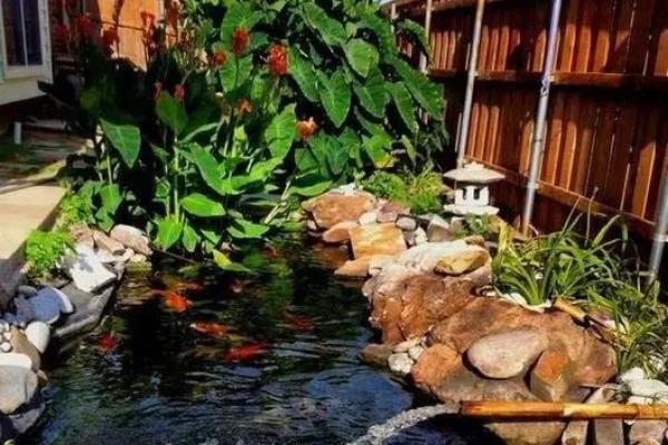 家庭鱼池风水 家庭鱼池风水摆放 家庭鱼池风水 家庭鱼池风水摆放