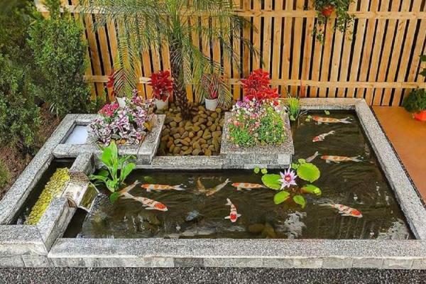 家庭鱼池风水 家庭鱼池风水摆放 家庭鱼池风水 家庭鱼池风水摆放