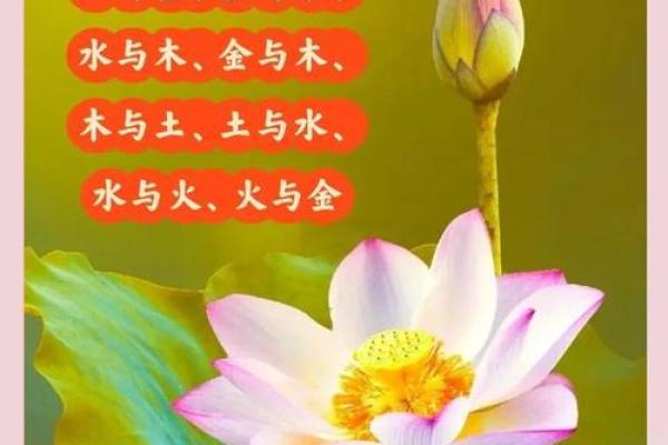 姓名与五行壁纸配对方法 姓名五行搭配表？