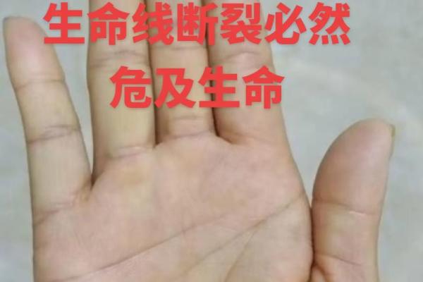 《手相学习百科》：生命线