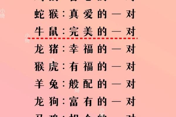 19岁属什么生肖配对 属蛇配对