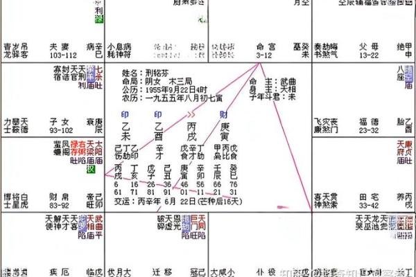 紫微斗数下世 紫微斗数!？