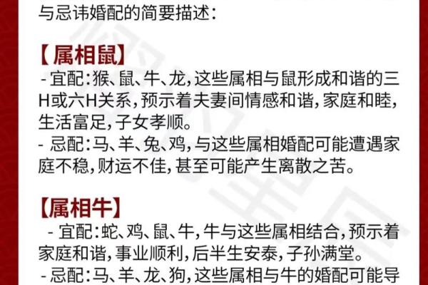 1988年属龙的婚姻配对 1988年属龙的最佳配偶