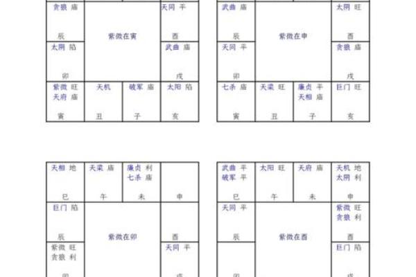 紫薇斗数文机
