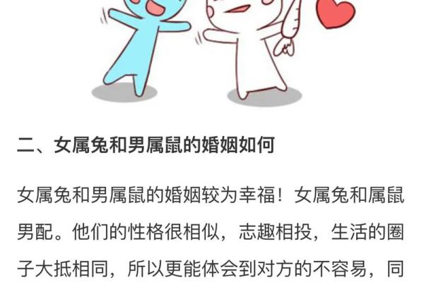 兔属相与什么属相最配 兔子跟什么生肖最配对和最好