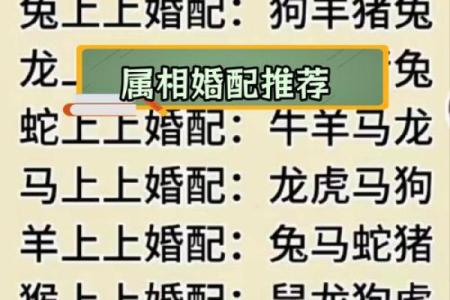 生肖配对属鼠属鸡的婚姻怎么样