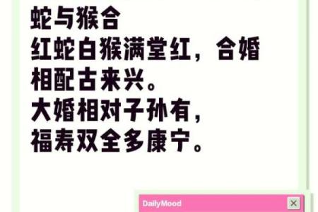 19岁属什么生肖配对 属蛇配对