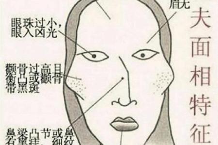 耳相算命图解，如何从耳相看人的命运